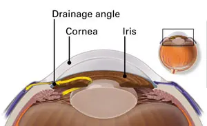 Drainage angle outflow healthy eye 300px