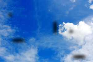 Floaters seen against the backdrop of a bright blue sky with white clouds